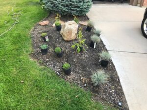 Patton Lawn Service - Landscaping