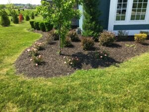 Patton Lawn Service - Landscaping 5